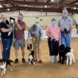 Basic Manners Dog & Puppy Obedience Training