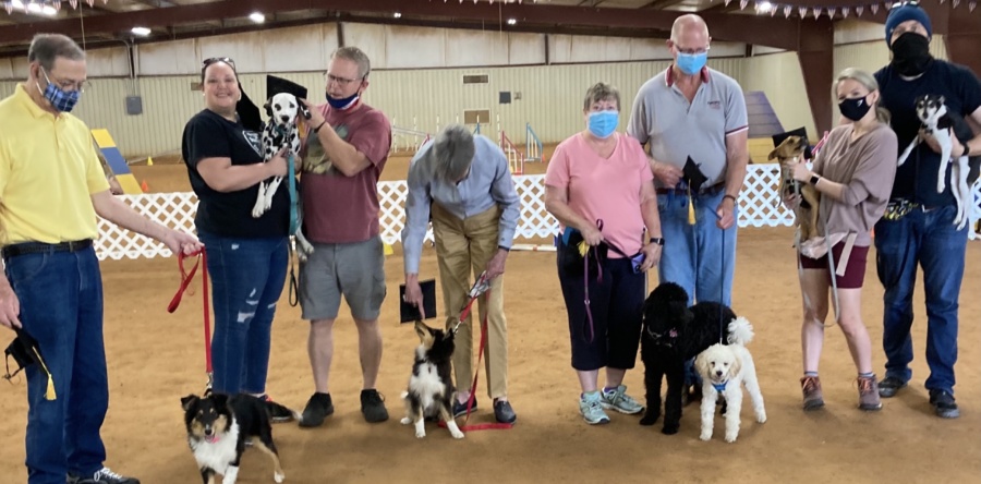 Dog & Puppy Obedience Training